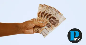 Si necesitas orientación, puedes llamar sin costo a los números 800 911 7877 o 800 717 2942