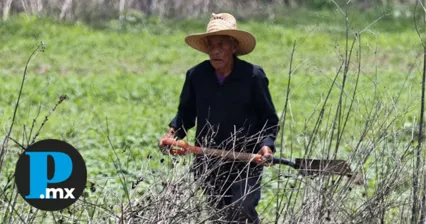 Campesinos de la Mixteca denuncian extorsiones por parte de organizaciones criminales.