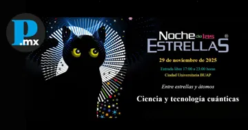 Las actividades se realizarán en un horario de 16:00 a 23:00 horas