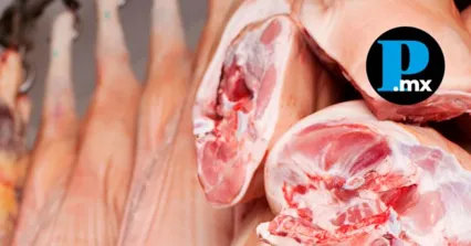 M&eacute;xico frena importaci&oacute;n de cerdo espa&ntilde;ol por brote de peste porcina africana