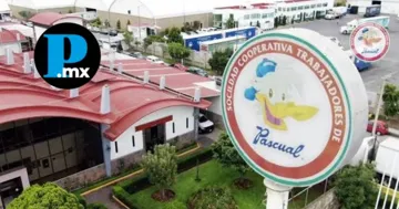 La Cooperativa Pascual presentó su nuevo jugo Néctasis, elaborado con pulpa natural de fruta mexicana, sin azúcares añadidos ni conservadores.