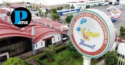 Pascual lanza N&eacute;ctasis: su apuesta sin az&uacute;cares a&ntilde;adidos para regresar a las escuelas