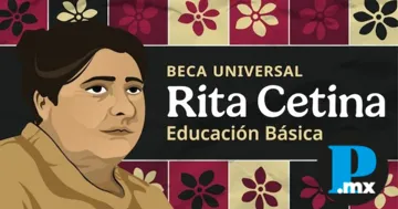 Las familias que ya cuentan con su tarjeta pueden verificar el abono mediante la aplicación Banco del Bienestar Móvil