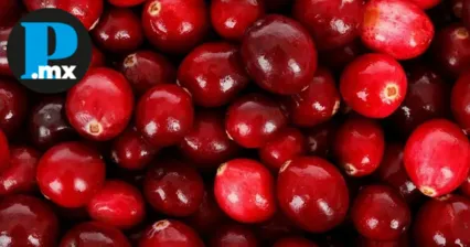 Xayacatl&aacute;n lanza convocatoria para contratar personal en cosecha de ar&aacute;ndano