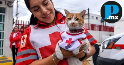 Cruzberto era conocido por ofrecer apoyo emocional a paramédicos, así como fomentar la adopción de mascotas sin hogar.