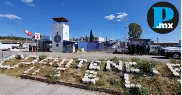 Ceresos estatales al tope: Operan al 96.5% de su capacidad total