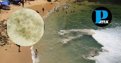 COFEPRIS advirti&oacute; sobre playas no aptas para vacacionar en diciembre