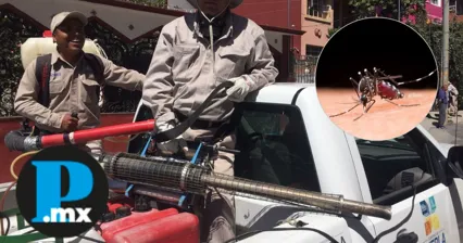 Puebla reduce 91% los casos de dengue gracias a estrategia preventiva en 2025