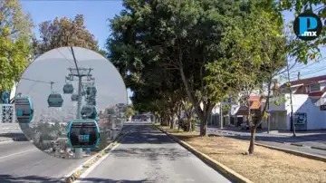 Organizaciones ambientales alertan riesgos para &aacute;rboles por proyecto del Cableb&uacute;s en Puebla