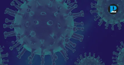 La transmisi&oacute;n del virus puede ocurrir por el consumo de fruta o agua contaminada con fluidos de murci&eacute;lago