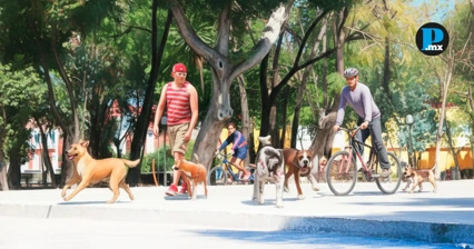 Parque Ju&aacute;rez, el parque donde los perros tambi&eacute;n hacen comunidad
