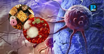 La forma de procesar, conservar y cocinar los alimentos puede influir en los riesgos para la salud.