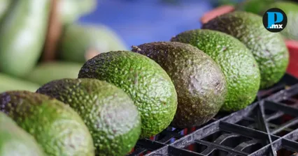Aguacate mexicano ser&aacute; el rey del Super Bowl con alza de m&aacute;s de 15%