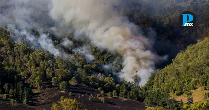 Se adelanta temporada de estiaje; Puebla registra 17 incendios en dos meses de 2026