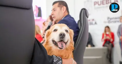  El gobernador confirm&oacute; la muerte de su perro Tomy