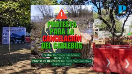 Rechaza comunidad BUAP tala de 980 &aacute;rboles por proyecto de Cableb&uacute;s en Puebla