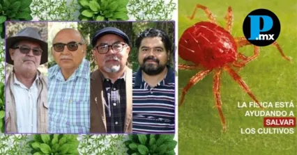 El equipo multidisciplinario de la BUAP integra conocimientos de f&iacute;sica y biolog&iacute;a para una agricultura libre de t&oacute;xicos.