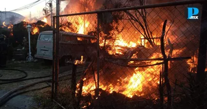  Cuerpos de emergencia informaron que el incendio se produjo en la zona de viveros