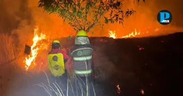 Cuatro incendios forestales activos en Puebla; cinco ya fueron liquidados