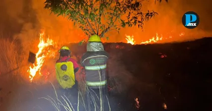 Brigadistas y autoridades trabajan en el control de incendios forestales en distintos municipios de Puebla.