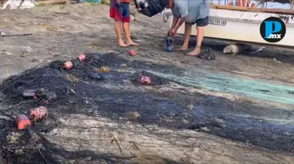 Derrame de petr&oacute;leo en el Golfo impacta a pescadores y obliga al cierre de balnearios en Veracruz y Tabasco