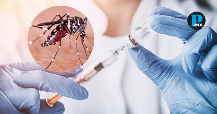La vacuna Qdenga brinda protecci&oacute;n contra los cuatro serotipos del virus del dengue y busca reducir hospitalizaciones por esta enfermedad en M&eacute;xico.