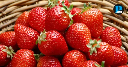 &iquest;Por qu&eacute; no quitar las hojas a las fresas? Profeco revela la raz&oacute;n