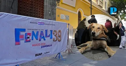 &ldquo;Carolino&rdquo;, el perrito de la BUAP, presentar&aacute; su libro en la FENALI 2026