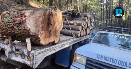 Habitantes de Ozolco obtuvieron la suspensi&oacute;n que frena tala y protege el agua de la comunidad