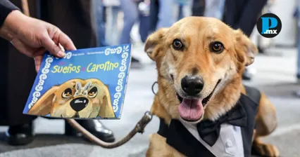 Carolino, el perro que conquist&oacute; a toda la comunidad BUAP, ya tiene su propio libro