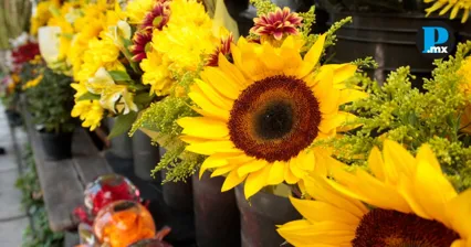 &iquest;Vas a regalar flores amarillas este 21 de marzo? Si es as&iacute; esto te interesa