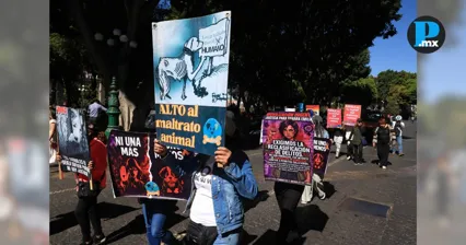  Marchan en Puebla por mujer agredida al proteger perros, quien ahora teme por su vida