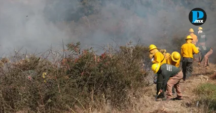 Puebla se mantiene entre los estados con m&aacute;s incendios forestales en 2026; van 124