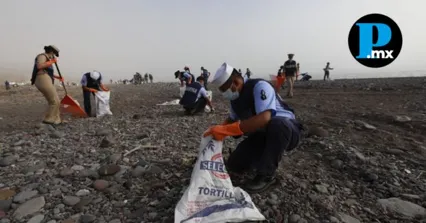 Reportan control de hidrocarburos en el Golfo de M&eacute;xico tras saneamiento de 480 kil&oacute;metros de costa