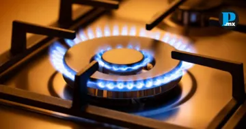 Gas LP en Puebla sube de precio esta semana: checa cu&aacute;nto costar&aacute;