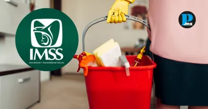 La mayor&iacute;a de las personas trabajadoras del hogar en M&eacute;xico contin&uacute;a sin acceso a seguridad social ni prestaciones laborales.