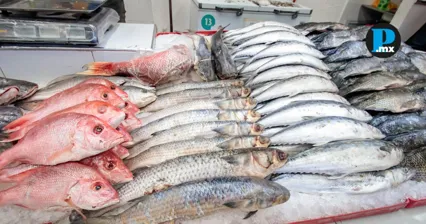 El consumo de pescados y mariscos aumenta en Semana Santa, periodo en el que tambi&eacute;n se incrementan pr&aacute;cticas de sustituci&oacute;n y etiquetado enga&ntilde;oso.