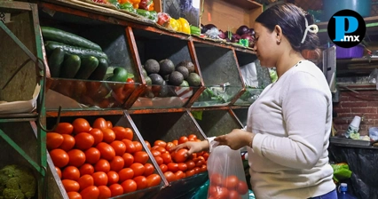 Jitomate y papa al alza; calabaza cae en Central de Abasto