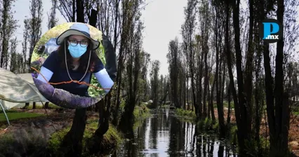 Filtros de cabello humano instalados en trajineras de Xochimilco para reducir contaminantes en el agua.