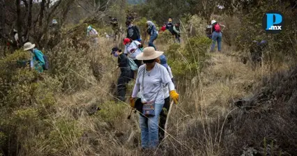 Colectivos de b&uacute;squeda localizaron restos humanos en los l&iacute;mites del Estado de M&eacute;xico y la Ciudad de M&eacute;xico&nbsp;
