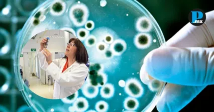 Cient&iacute;ficxs de la UNAM estudian bacterias marinas que podr&iacute;an convertirse en aliadas contra la contaminaci&oacute;n en los oc&eacute;anos.