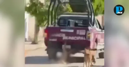 Se&ntilde;alan a polic&iacute;as municipales de Xochiltepec por crueldad animal