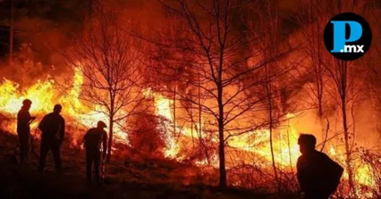 La tarjeta de situaci&oacute;n de la CONAFOR confirma que Puebla es una de las 15 entidades que enfrentan incendios activos en este pico de la temporada.