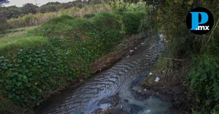 Vecinos de la calle Cholula urgen a las autoridades municipales a clausurar las conexiones de drenaje que desembocan en los ameyales de la regi&oacute;n.