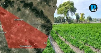 Exalcalde propone transformar Tri&aacute;ngulo Rojo en Verde 