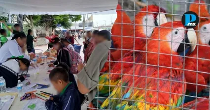 Profepa y Humane World for Animals impulsan acciones contra el tr&aacute;fico ilegal de aves en Puebla