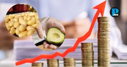 El precio del aguacate aument&oacute; 18.5% en la primera quincena de junio, seg&uacute;n el INPC.