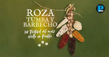  Puebla tendr&aacute; su primer Festival del Ma&iacute;z Criollo