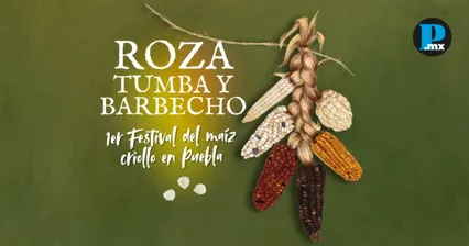  Puebla tendr&aacute; su primer Festival del Ma&iacute;z Criollo
