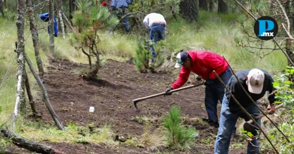 Integrantes de brigadas comunitarias de la Sierra Norte de Puebla buscan reunir recursos para adquirir equipo de protecci&oacute;n y herramientas para el combate de incendios forestales.